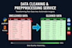 do data cleaning wrangling data visualization give insights using python