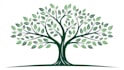 draw any vector art for your