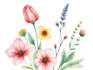 create a botanical watercolor illustration