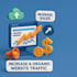 increase organic website traffic website promotion, to increase website sales