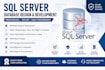 sql server database design stored procedures query optimization expert