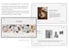 design clean, professional presentations for architects, interior designers