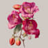 create a botanical illustration