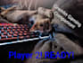 hang out and enjoy playing games with you