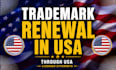 do your trademark renewal