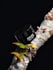 retouch your product photos