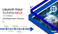 build a powerful bubble mvp for your startup