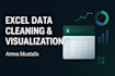 do data entry, data cleaning, and data visualization in excel
