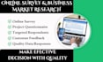 conduct online surveys with over 1000 respondents