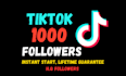 do tiktok marketing and organic promotion for follower growth
