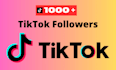 provide 1000 real tiktok followers original