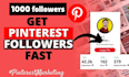 provide 1000 pinterest followers real and guaranteed