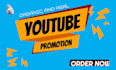 do organic and super fast youtube video promotion