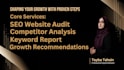 do SEO audit and action plan with competitor analysis