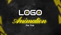 do custom unique intro outro logo animation video