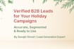 provide targeted b2b leads for your holiday campaigns