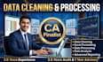 data cleaning, data processing, excel formatting, reporting