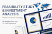 prepare a detailed feasibility study and project investment report