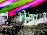 edit your video with analog glitch equipment