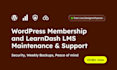handle wordpress, hosting, maintenance, security, backups