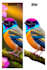 eliminate unnecessary objects and enhance picture quality