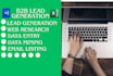 do data entry copy paste b2b lead generation by data mining