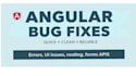 fix bugs and add small features in your angular application