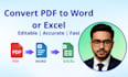 convert the PDF to excel, and do data cleaning