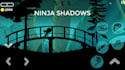 develop unity mobile game, 2d unity game, 2d web game, online game