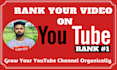 be your youtube SEO expert for organic video promotion and ranking