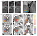analyze your biomedical data