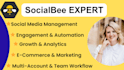 be your social bee expert