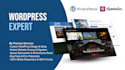 create wordpress designs clone redesign wordpress sites