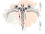 draw professional medical concept sketches