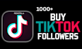 you will get organic tiktok promotion 1000 followers