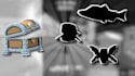 professionally edit roblox gaming videos for you