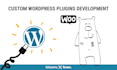 develop a custom wordpress plugin with API and woocommerce integration