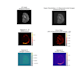 train machine learning models with top tier accuracy
