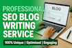 write SEO optimized blog posts