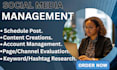 do social media manage, content create, post schedule