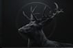 draw dark art animal illustration