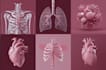 do medical and scientific illustrations