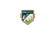 design sustainability elegant tree service logo
