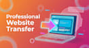 professionally migrate your website to new host