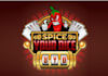 design beautiful particular logo for spice your dice