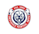 create creative and good looking bear logo design