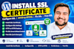 install free SSL certificate, fix https errors, SSL errors, mixed content