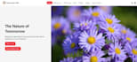 bring your web design to life with clean, responsive code