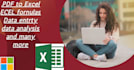 do anything in excel, PDF to excel, data cleaning, excel formulas and many more