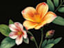 drawn botanical illustration, flower, plant